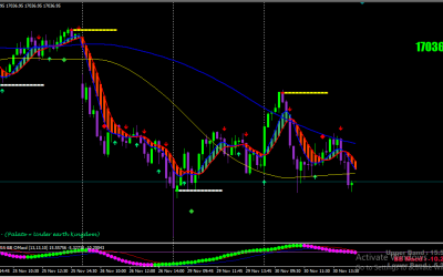 SEFC Trading System